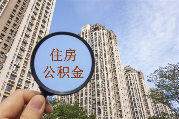 公积金还看征信吗吗_和县公积金代办在职离职封存服务